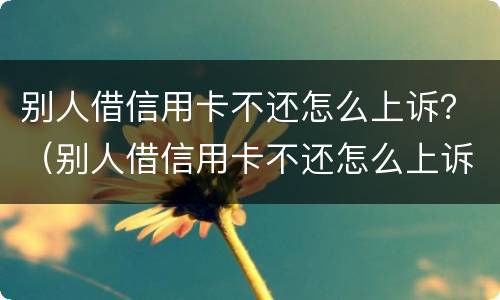别人借信用卡不还怎么上诉？（别人借信用卡不还怎么上诉我）