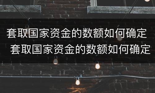 套取国家资金的数额如何确定 套取国家资金的数额如何确定标准