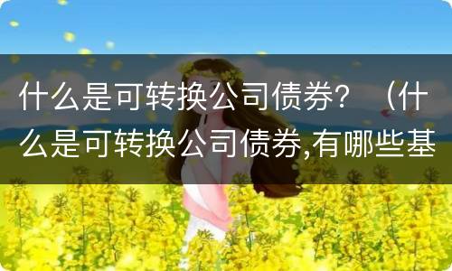 什么是可转换公司债券？（什么是可转换公司债券,有哪些基本因素）