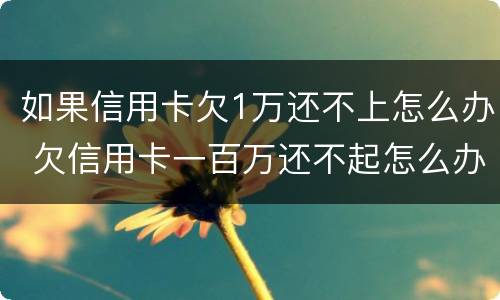如果信用卡欠1万还不上怎么办 欠信用卡一百万还不起怎么办