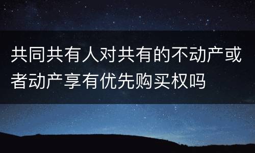 共同共有人对共有的不动产或者动产享有优先购买权吗