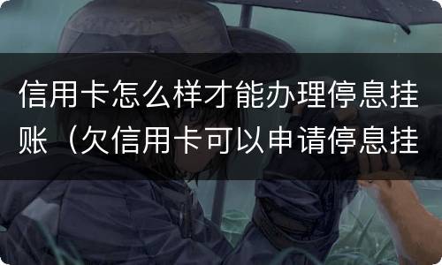 信用卡怎么样才能办理停息挂账（欠信用卡可以申请停息挂账吗）