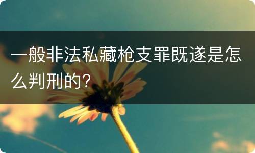 一般非法私藏枪支罪既遂是怎么判刑的?