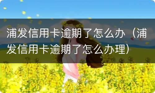 浦发信用卡逾期了怎么办（浦发信用卡逾期了怎么办理）