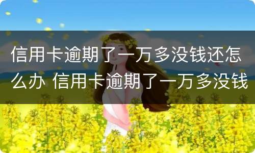 信用卡逾期了一万多没钱还怎么办 信用卡逾期了一万多没钱还怎么办理
