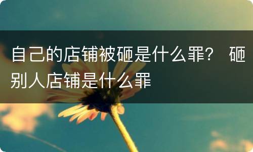 自己的店铺被砸是什么罪？ 砸别人店铺是什么罪