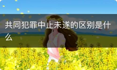 共同犯罪中止未遂的区别是什么