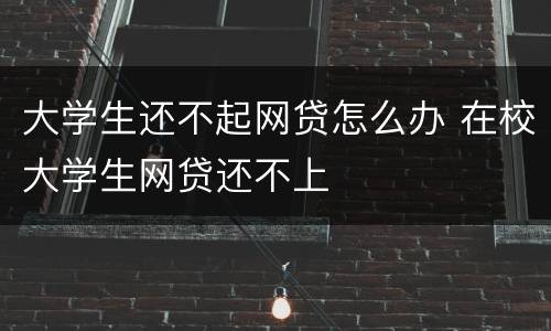 大学生还不起网贷怎么办 在校大学生网贷还不上