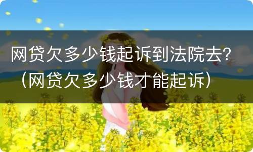 网贷欠多少钱起诉到法院去？（网贷欠多少钱才能起诉）