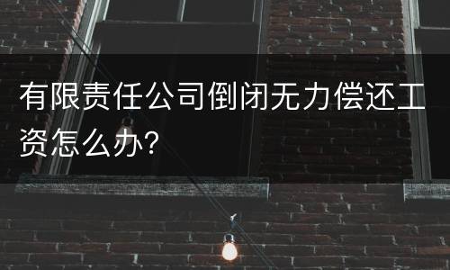 有限责任公司倒闭无力偿还工资怎么办？