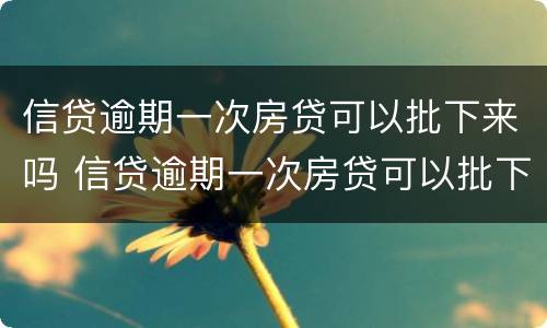 信贷逾期一次房贷可以批下来吗 信贷逾期一次房贷可以批下来吗知乎