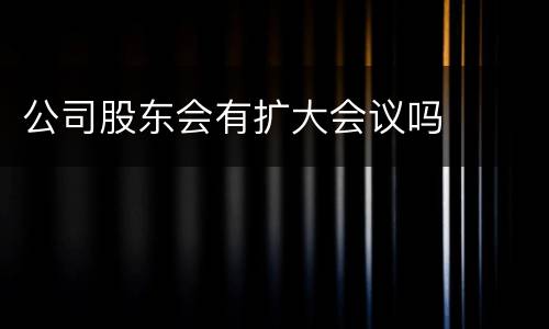 公司股东会有扩大会议吗