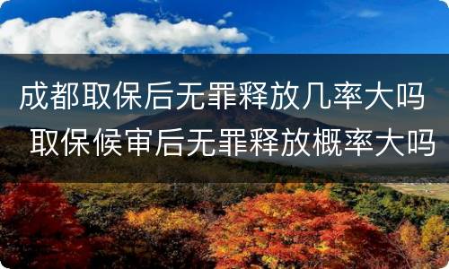 成都取保后无罪释放几率大吗 取保候审后无罪释放概率大吗