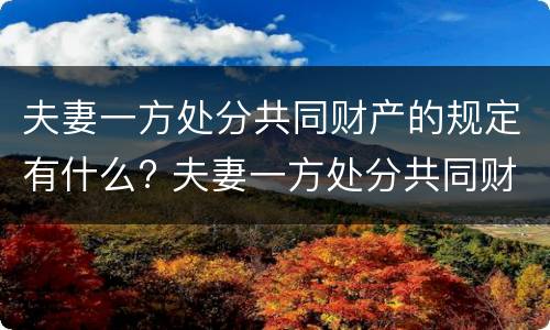 夫妻一方处分共同财产的规定有什么? 夫妻一方处分共同财产的规定有什么条款