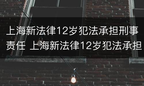 上海新法律12岁犯法承担刑事责任 上海新法律12岁犯法承担刑事责任嘛