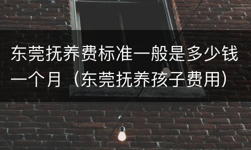 东莞抚养费标准一般是多少钱一个月（东莞抚养孩子费用）