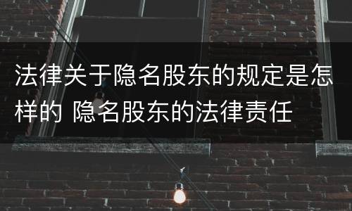 法律关于隐名股东的规定是怎样的 隐名股东的法律责任