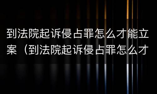 到法院起诉侵占罪怎么才能立案（到法院起诉侵占罪怎么才能立案呢）