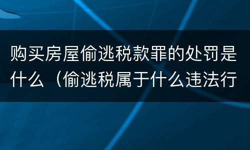 购买房屋偷逃税款罪的处罚是什么（偷逃税属于什么违法行为）