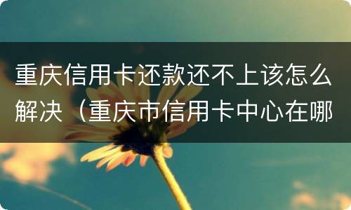重庆信用卡还款还不上该怎么解决（重庆市信用卡中心在哪里?）