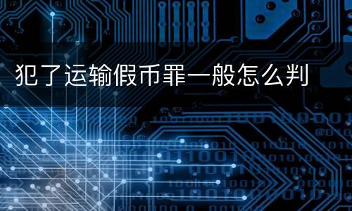犯了运输假币罪一般怎么判