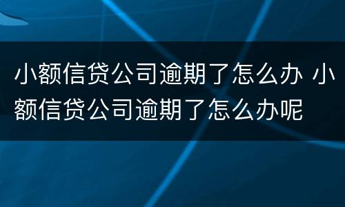 小额信贷公司逾期了怎么办 小额信贷公司逾期了怎么办呢
