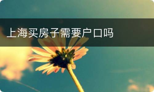 上海买房子需要户口吗