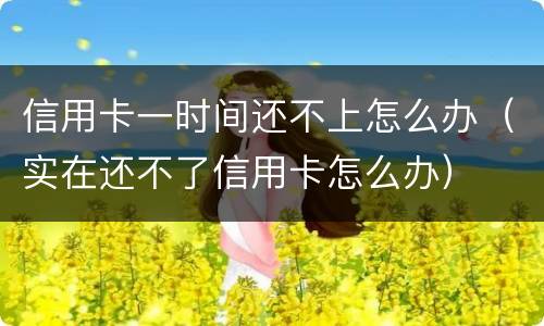 信用卡一时间还不上怎么办（实在还不了信用卡怎么办）