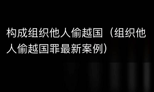 构成组织他人偷越国（组织他人偷越国罪最新案例）