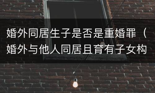 婚外同居生子是否是重婚罪（婚外与他人同居且育有子女构成重婚罪吗）