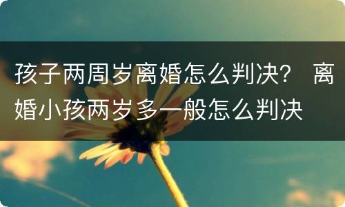 孩子两周岁离婚怎么判决？ 离婚小孩两岁多一般怎么判决