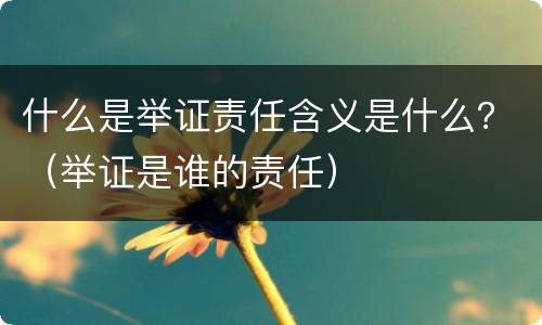 什么是举证责任含义是什么？（举证是谁的责任）