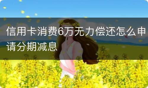 信用卡消费6万无力偿还怎么申请分期减息