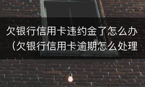 欠银行信用卡违约金了怎么办（欠银行信用卡逾期怎么处理）