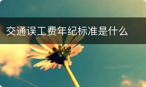 交通误工费年纪标准是什么