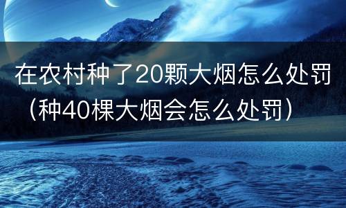 在农村种了20颗大烟怎么处罚（种40棵大烟会怎么处罚）