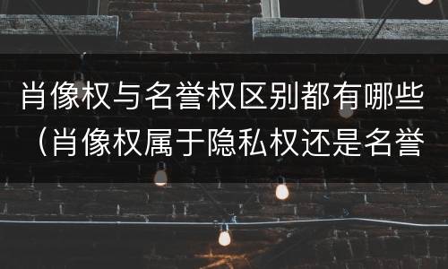 肖像权与名誉权区别都有哪些（肖像权属于隐私权还是名誉权）