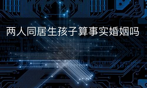 两人同居生孩子算事实婚姻吗