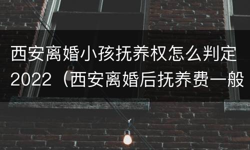 西安离婚小孩抚养权怎么判定2022（西安离婚后抚养费一般给多少）