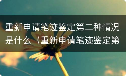 重新申请笔迹鉴定第二种情况是什么（重新申请笔迹鉴定第二种情况是什么意思）