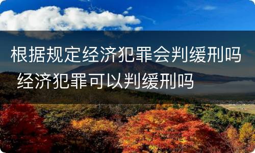 根据规定经济犯罪会判缓刑吗 经济犯罪可以判缓刑吗