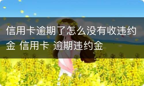 信用卡逾期了怎么没有收违约金 信用卡 逾期违约金