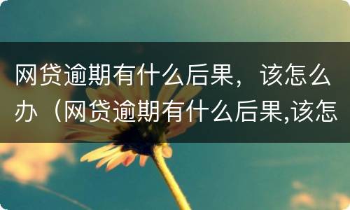 网贷逾期有什么后果，该怎么办（网贷逾期有什么后果,该怎么办呢）