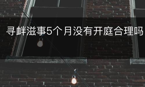 寻衅滋事5个月没有开庭合理吗