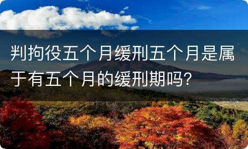 判拘役五个月缓刑五个月是属于有五个月的缓刑期吗？