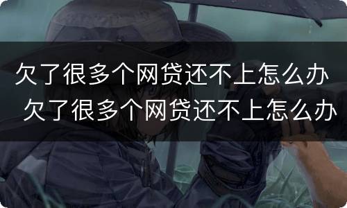 欠了很多个网贷还不上怎么办 欠了很多个网贷还不上怎么办呀