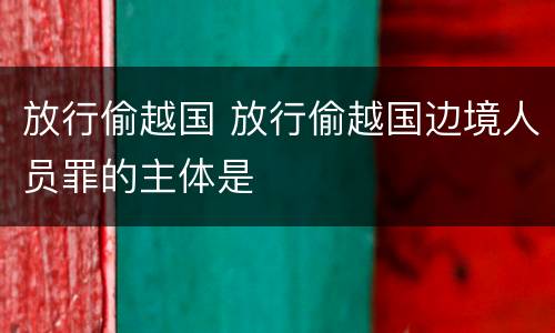 放行偷越国 放行偷越国边境人员罪的主体是