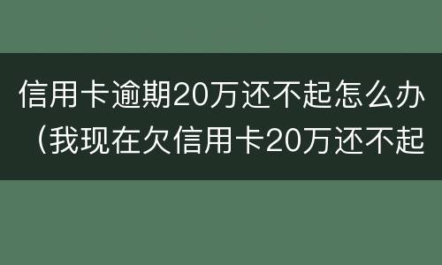 信用卡逾期20万还不起怎么办（我现在欠信用卡20万还不起了怎么办）