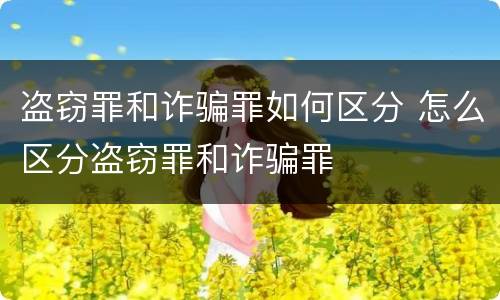 盗窃罪和诈骗罪如何区分 怎么区分盗窃罪和诈骗罪
