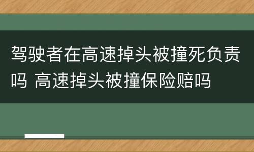 驾驶者在高速掉头被撞死负责吗 高速掉头被撞保险赔吗